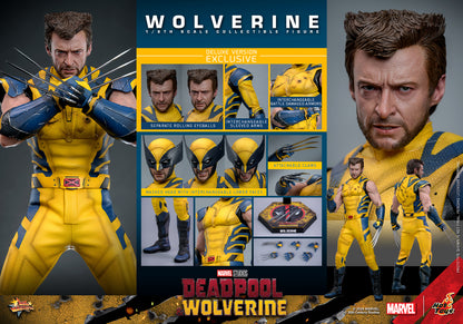 Pre-Order - Deadpool & Wolverine MMS754 Wolverine (Deluxe Ver.) 1/6th Scale Collectible Figure