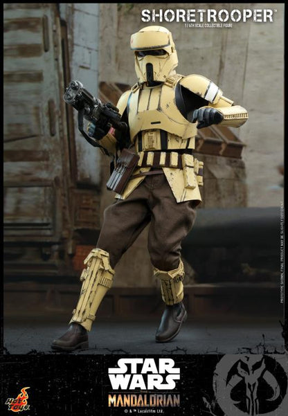 The Mandalorian TMS031 Shoretrooper 1/6th Scale Collectible Figure