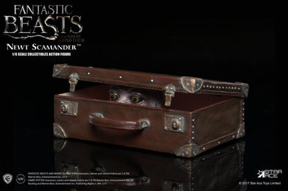 Fantastic Beasts and Where to Find Them Newt Scamander 1/6 Scale Collectible Figure