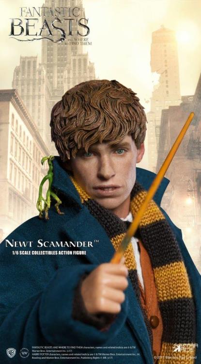 Fantastic Beasts and Where to Find Them Newt Scamander 1/6 Scale Collectible Figure
