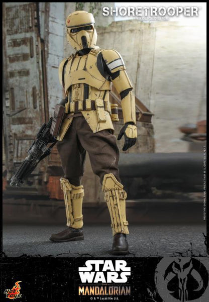 The Mandalorian TMS031 Shoretrooper 1/6th Scale Collectible Figure
