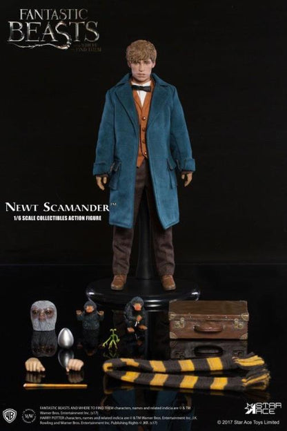Fantastic Beasts and Where to Find Them Newt Scamander 1/6 Scale Collectible Figure