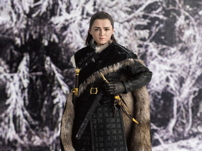 Game of Thrones Arya Stark (Season 8) 1/6 Scale Figure