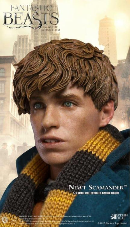 Fantastic Beasts and Where to Find Them Newt Scamander 1/6 Scale Collectible Figure