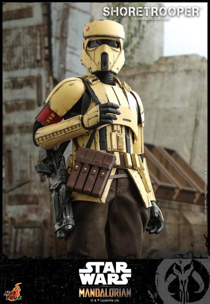 The Mandalorian TMS031 Shoretrooper 1/6th Scale Collectible Figure