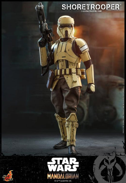 The Mandalorian TMS031 Shoretrooper 1/6th Scale Collectible Figure