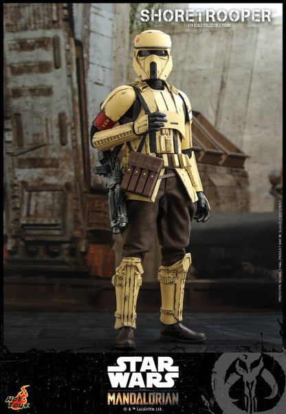 The Mandalorian TMS031 Shoretrooper 1/6th Scale Collectible Figure