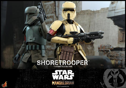 The Mandalorian TMS031 Shoretrooper 1/6th Scale Collectible Figure