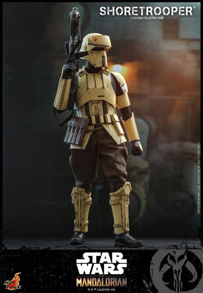 The Mandalorian TMS031 Shoretrooper 1/6th Scale Collectible Figure
